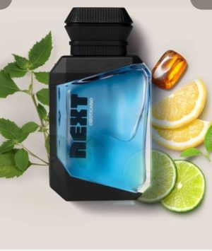 Colônia infantil Next